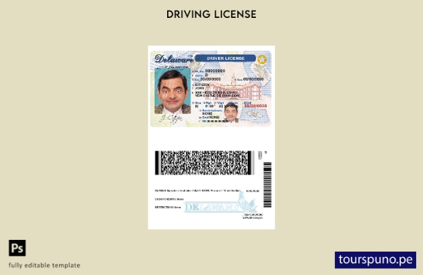 Plantilla de licencia de conducir de Delaware de EE. UU. lista para imprimir